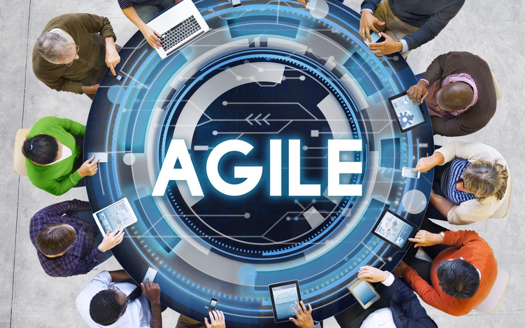 Agile Risk Management for an Agile World