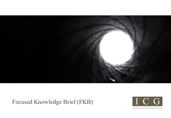 Focused Knowledge Brief (FKB)